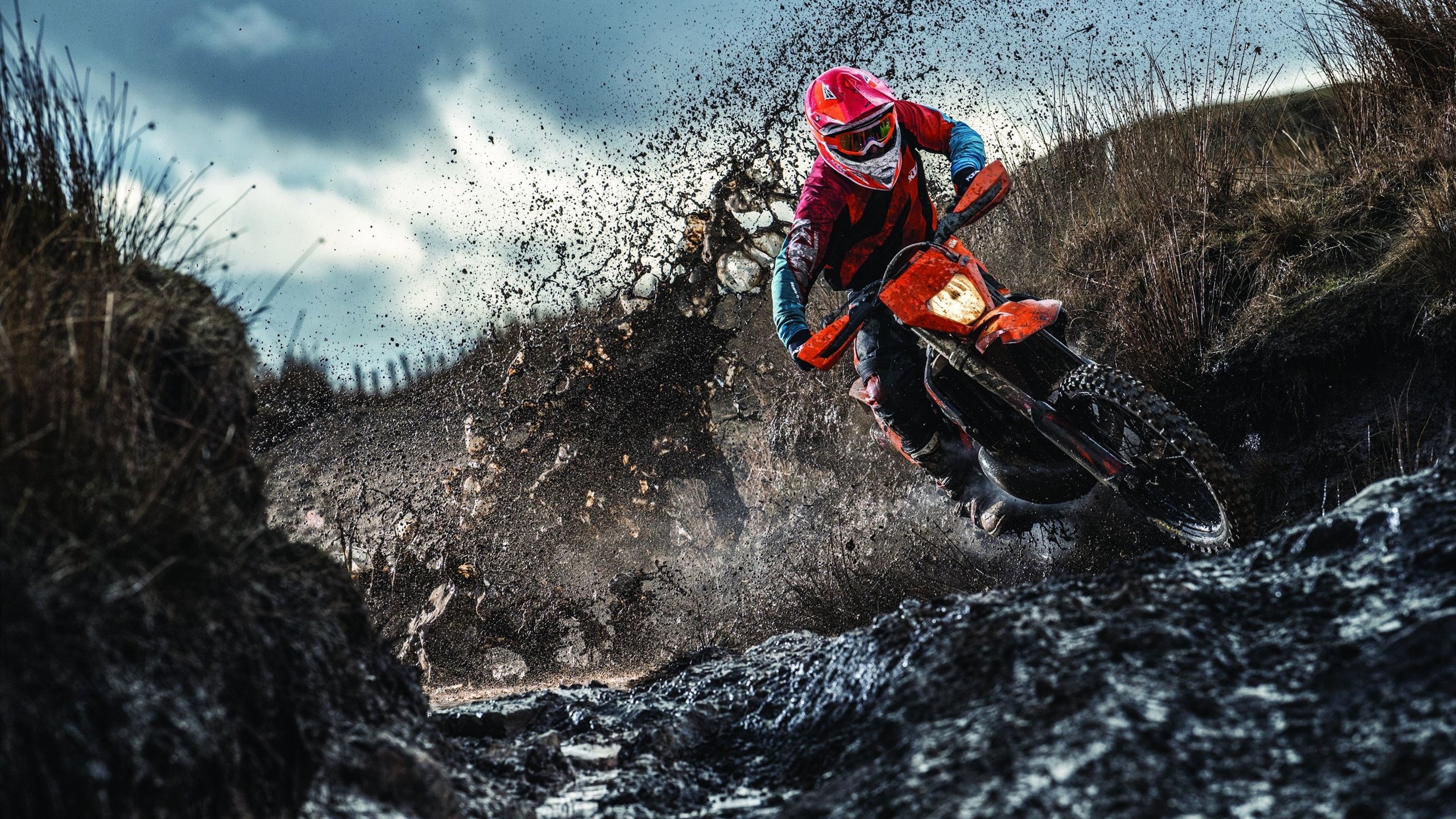 _体育+生态：绿色运动健康新理念_，绿色主题健康运动